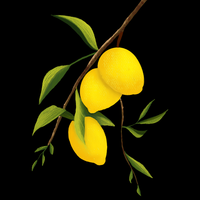 冲浪必看！海角app创作手册一图读懂