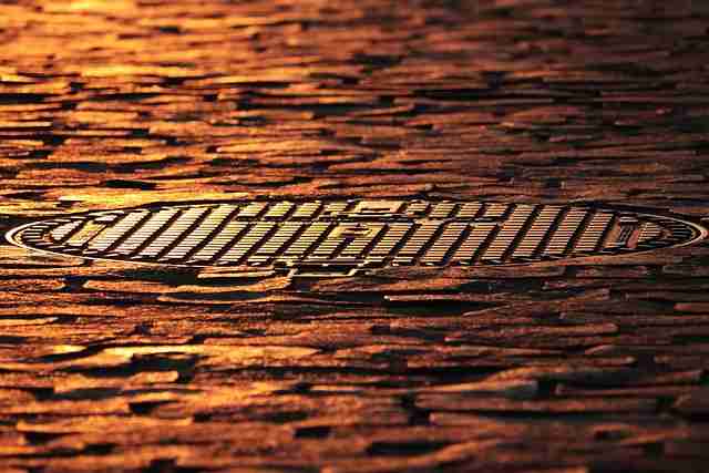 【蘑菇视频ios】沉浸式故事线聚焦 - 新手必看，蘑菇视讯