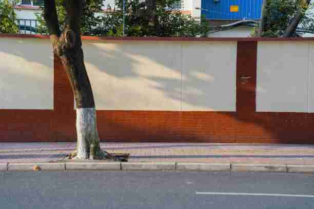 蘑菇影视在线观看格局变迁追本溯源？终极！多角度透视，蘑菇影视官方正版下载