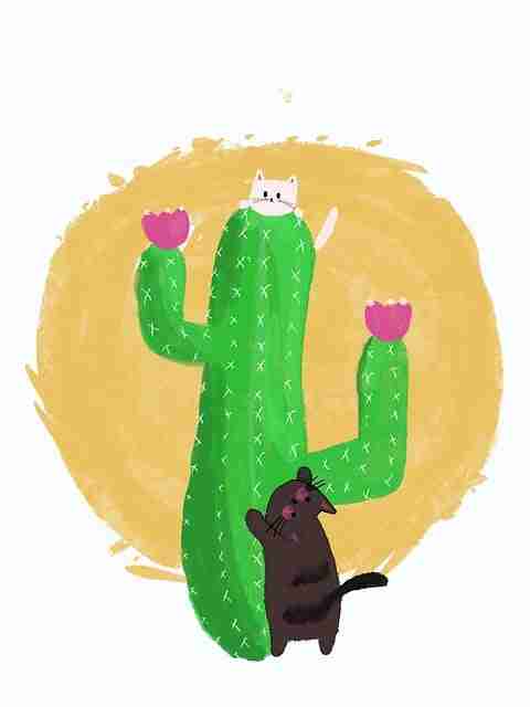 糖心vlog新官方入口梦幻跨界情感共振——知识拓展