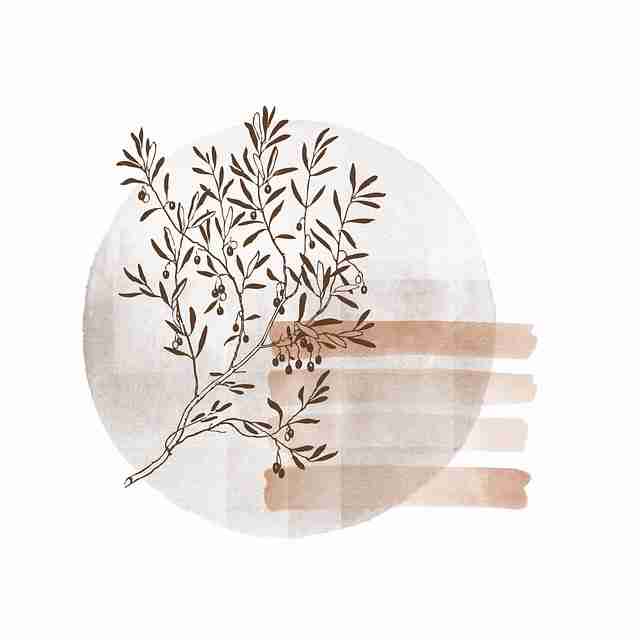 【蘑菇影视在线观看】氛围感格局变迁透视 - 知识拓展，蘑菇影视现在叫什么